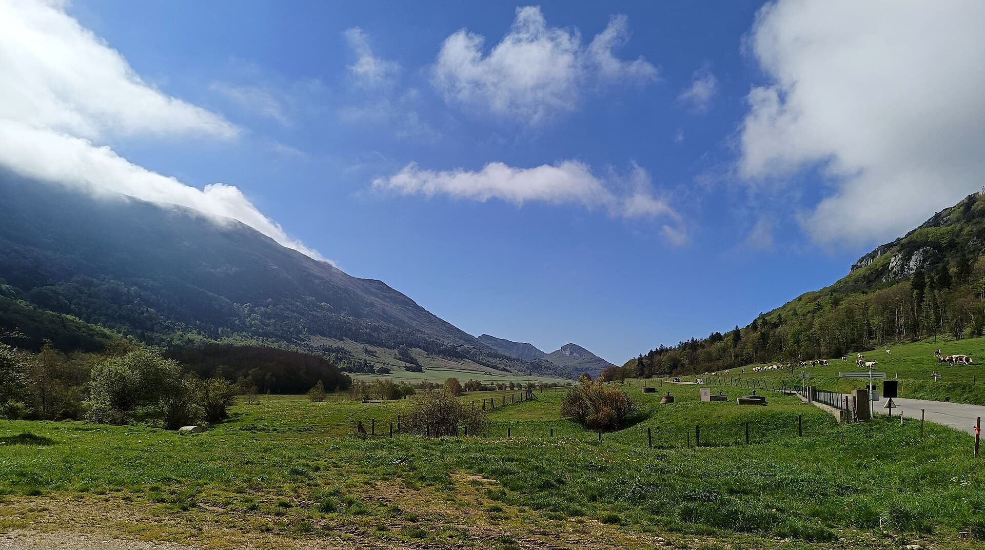 La prairie de Léoncel entre les versants du vallon